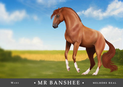 MR Banshee