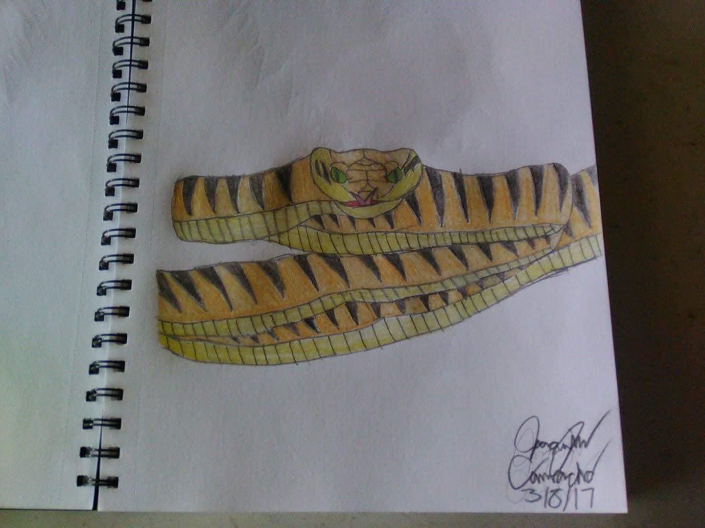Guam Ratsnake Brown Tree Snake ( Guam ) by PolarBearKin on DeviantArt