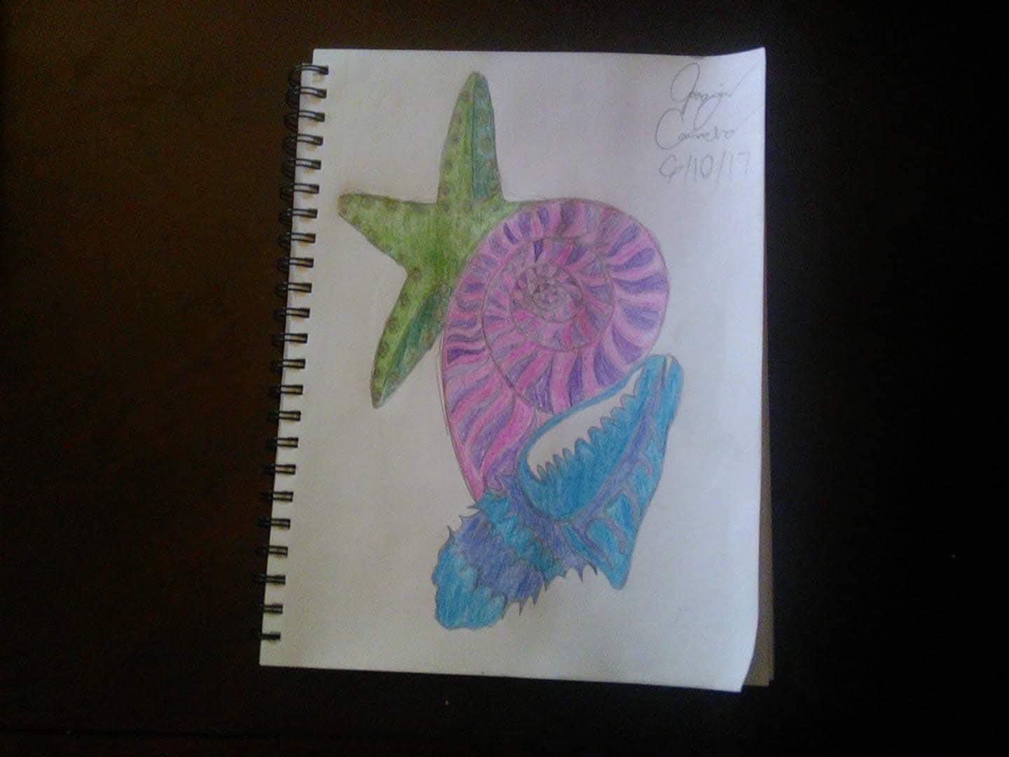 Shells by PolarBearKin on DeviantArt