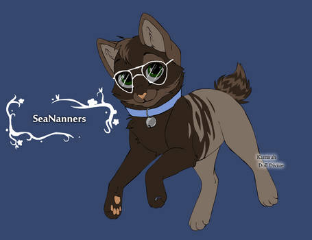 Cat SeaNanners/Nanners/Adam (Human Features)