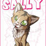 Sally the cat