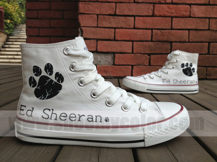 Ed Sheeran hand painted canvas shoes