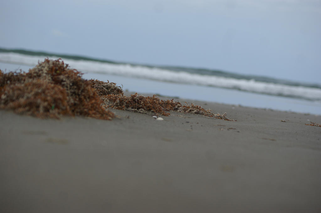 Ry'leh? by Bioteknos on DeviantArt