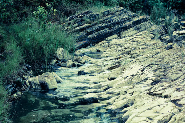 Tarzan Pools
