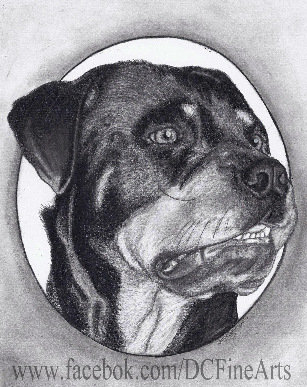 Rottie!