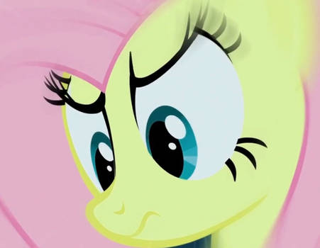 The Fluttershy's Gaze