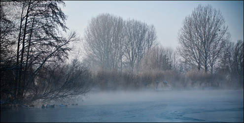 Winter Mist