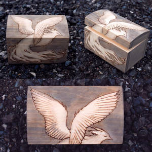 Pheonix Pyrography Box 2