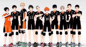 MMD x Haikyuu!! Karasuno