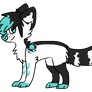 Teal And Black Adopt