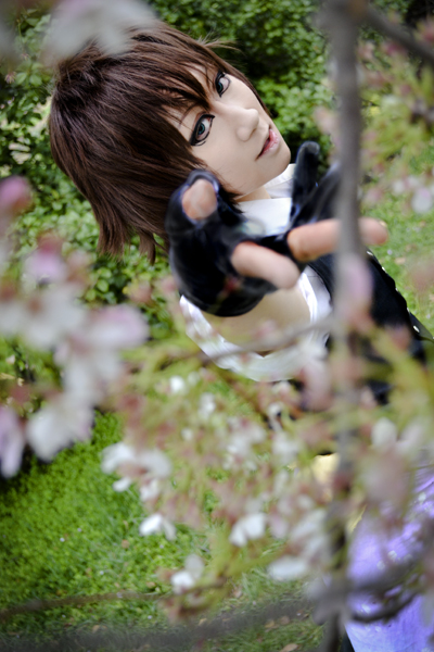 Hakuouki- through the blossoms