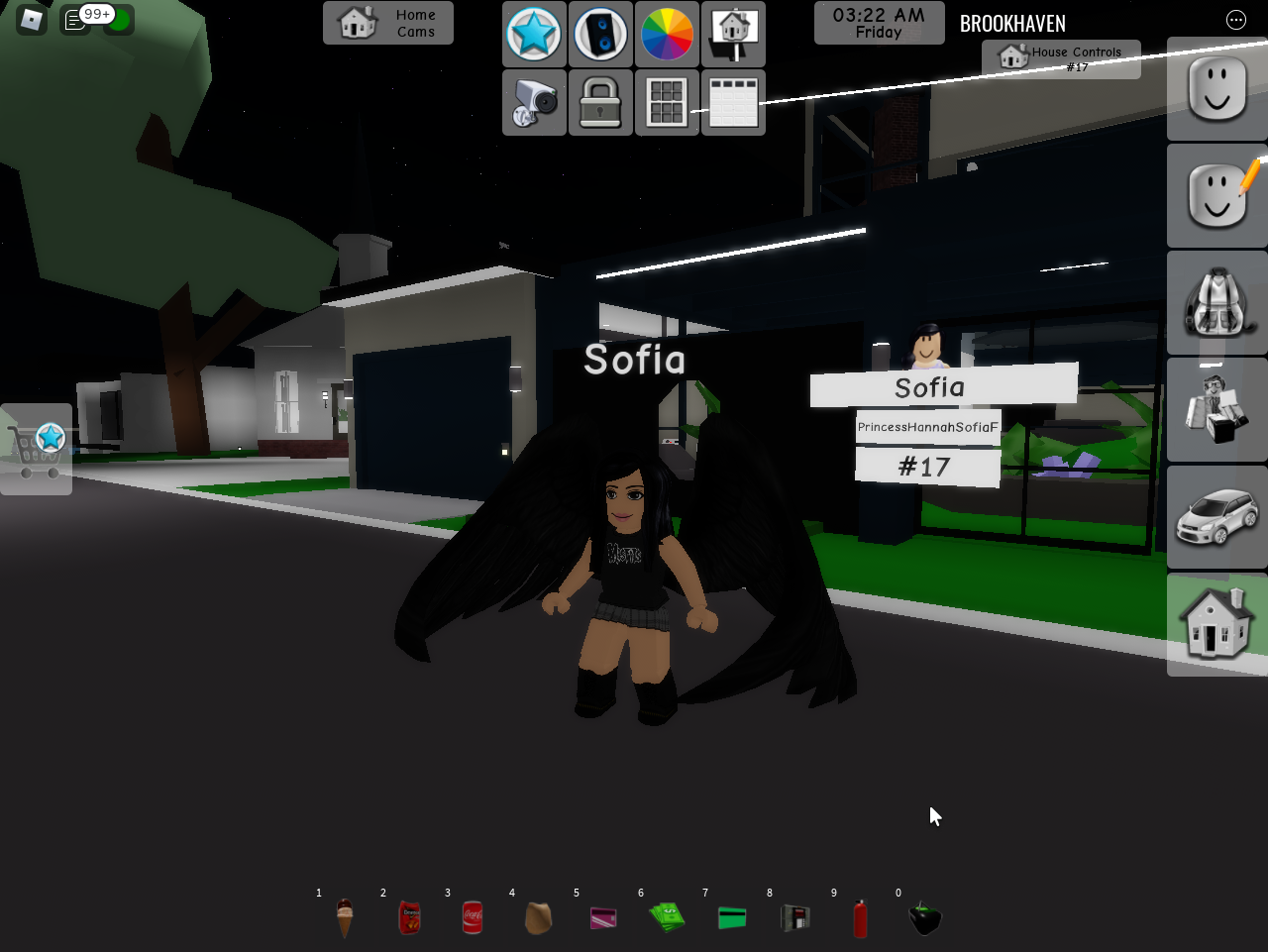 ROBLOX GAME BROOKHAVEN 9 