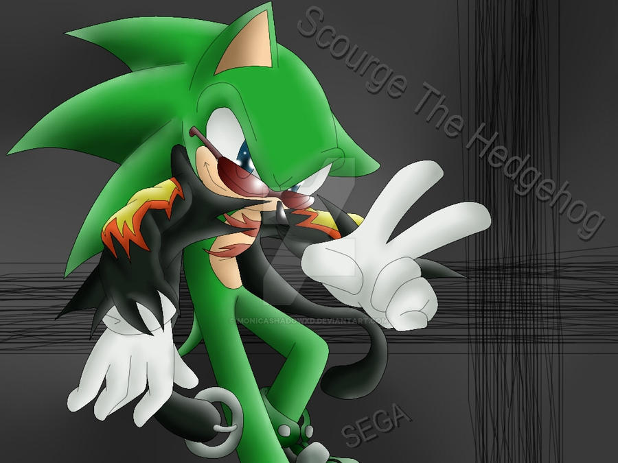 Scourge The Hedgehog