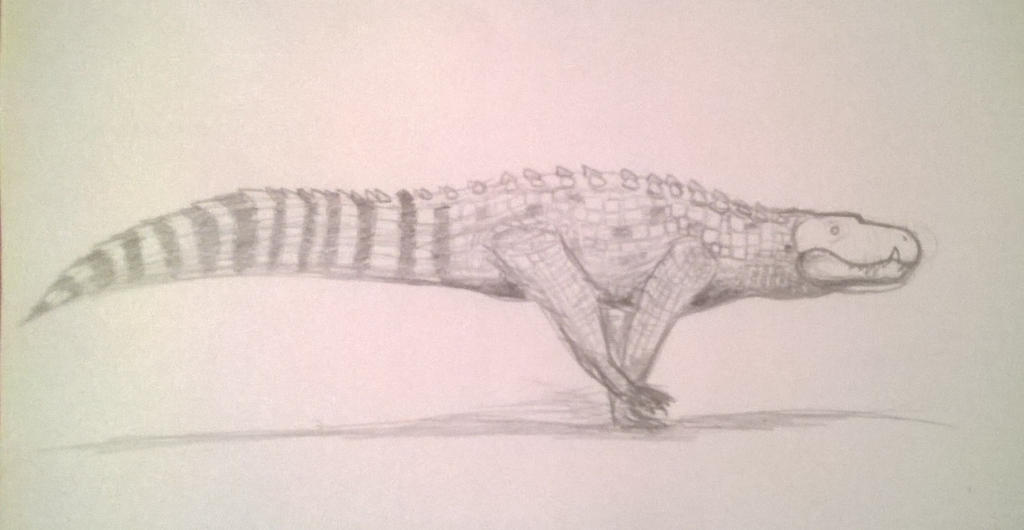Baurusuchus Baurusuchus by Covelloraptor on DeviantArt