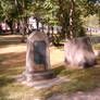 15064 Graveyard