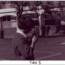 Take 5
