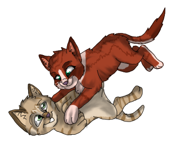 Strippedpaw and Rosepaw