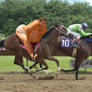 Sumo Horse Race