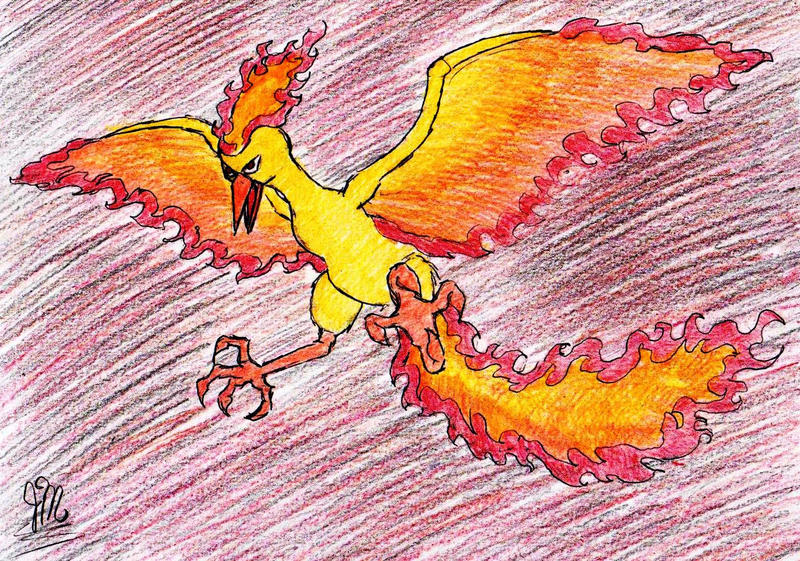 146 - Moltres