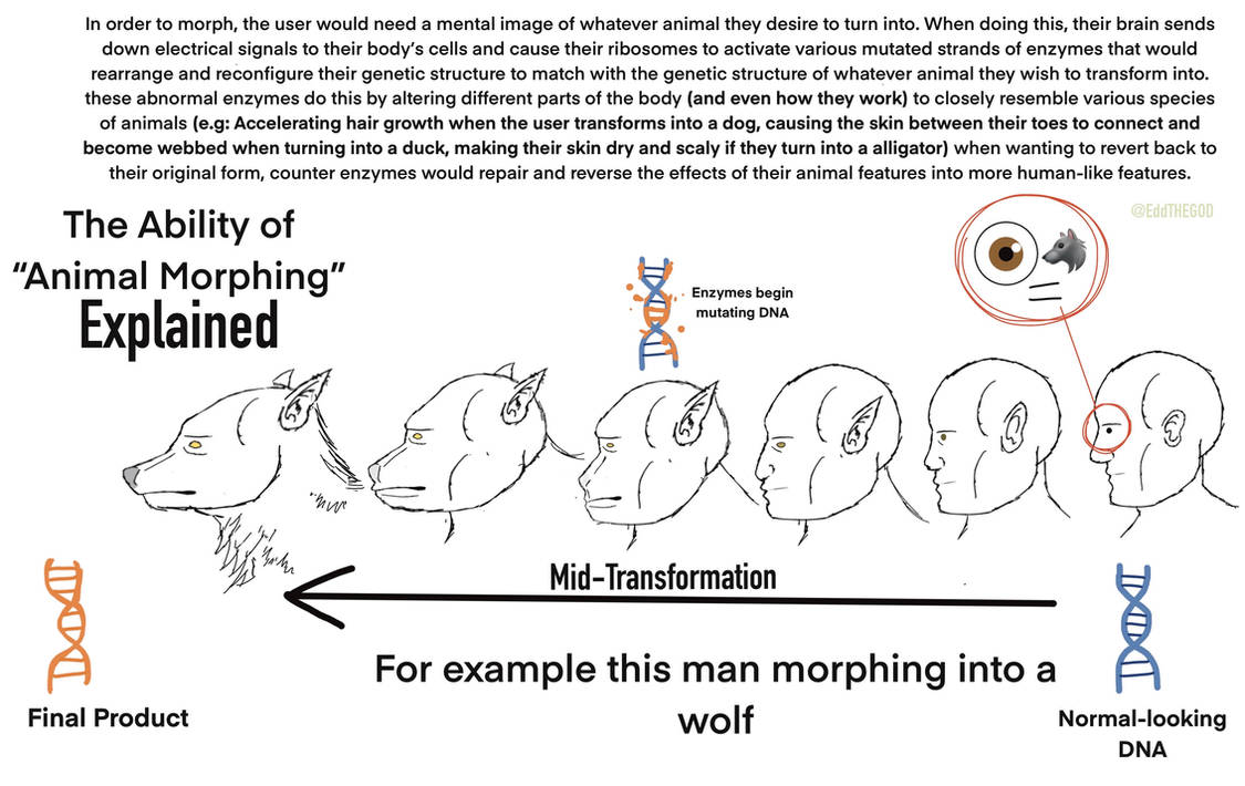 Animal Morph Tutorial How Superpowers work: Animal Morphing by EddTHEGOD on DeviantArt