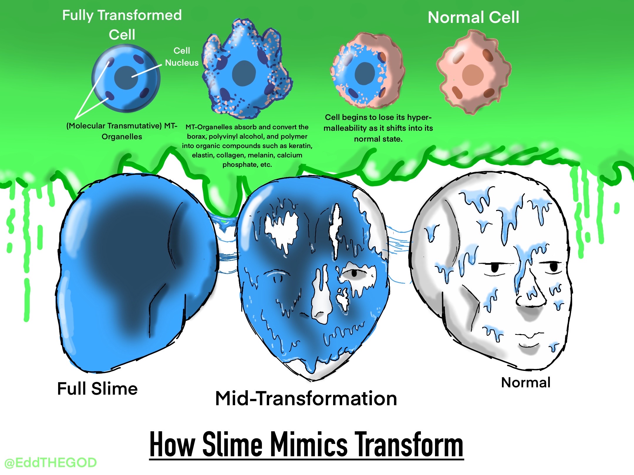 How Slime Mimics Transform Into Back By EddTHEGOD On DeviantArt how-slime-mimics-transform-into-back-by-eddthegod-on-deviantart
