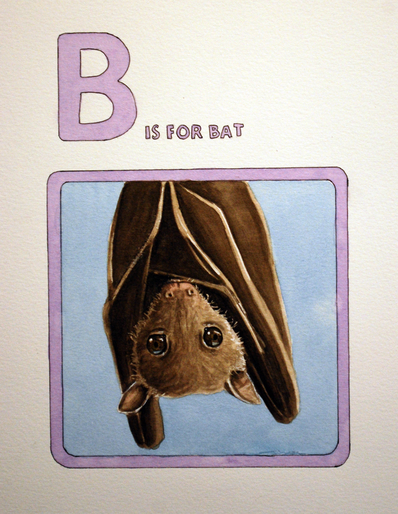 B is for Bat