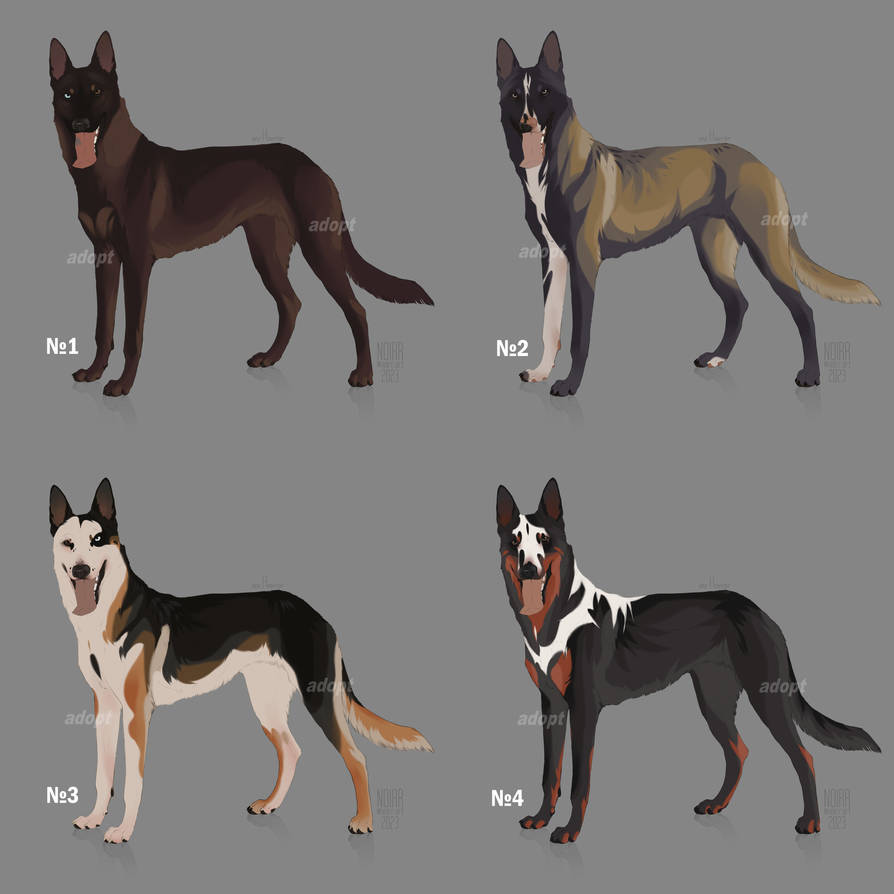 Deviantart Characters Dogs Dog adopt 16 (OPEN) by Noirr-art on DeviantArt