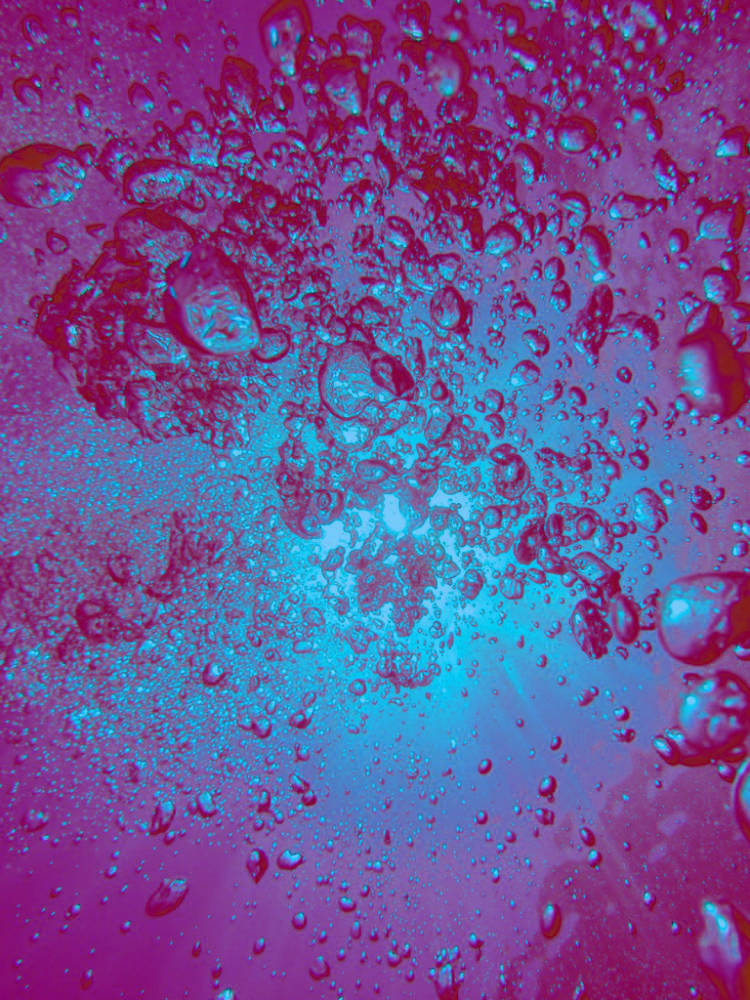 Eridan Peixes's banner