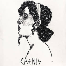 Caenis