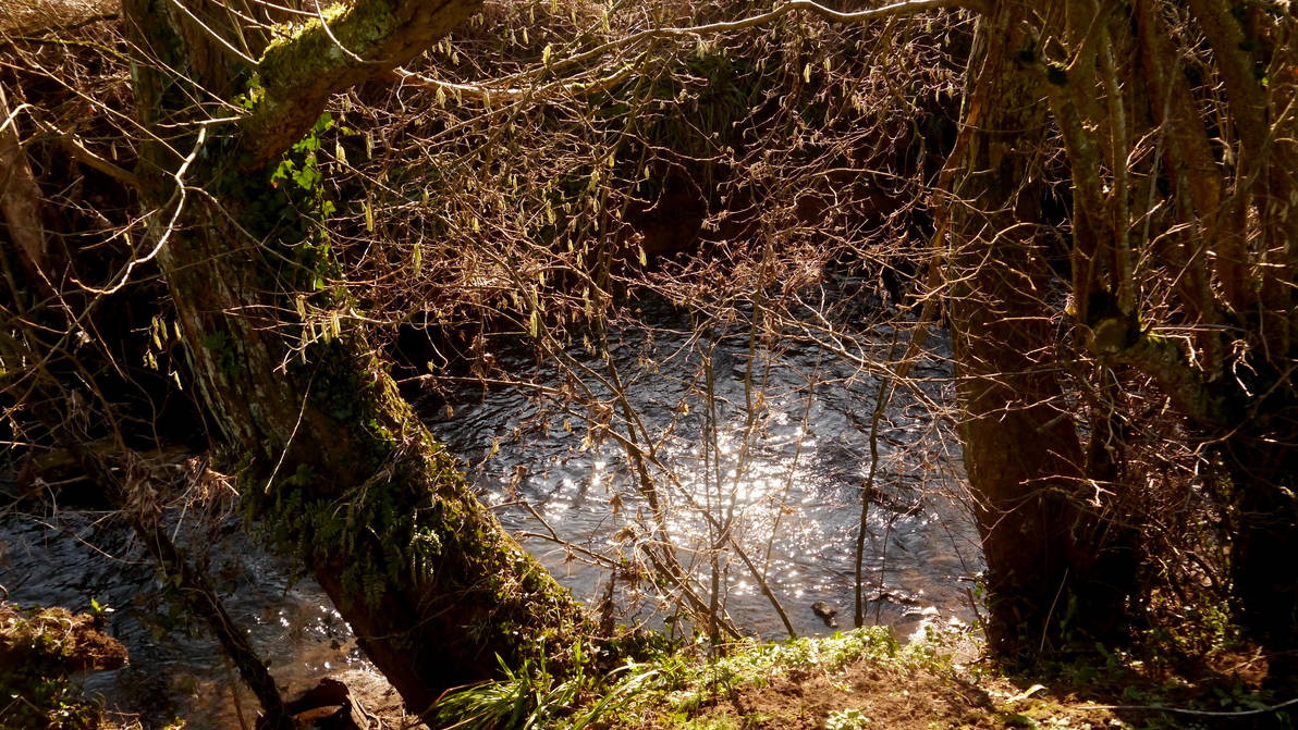 Sunlight On The Cam By Barneydogg On DeviantArt sunlight-on-the-cam-by-barneydogg-on-deviantart