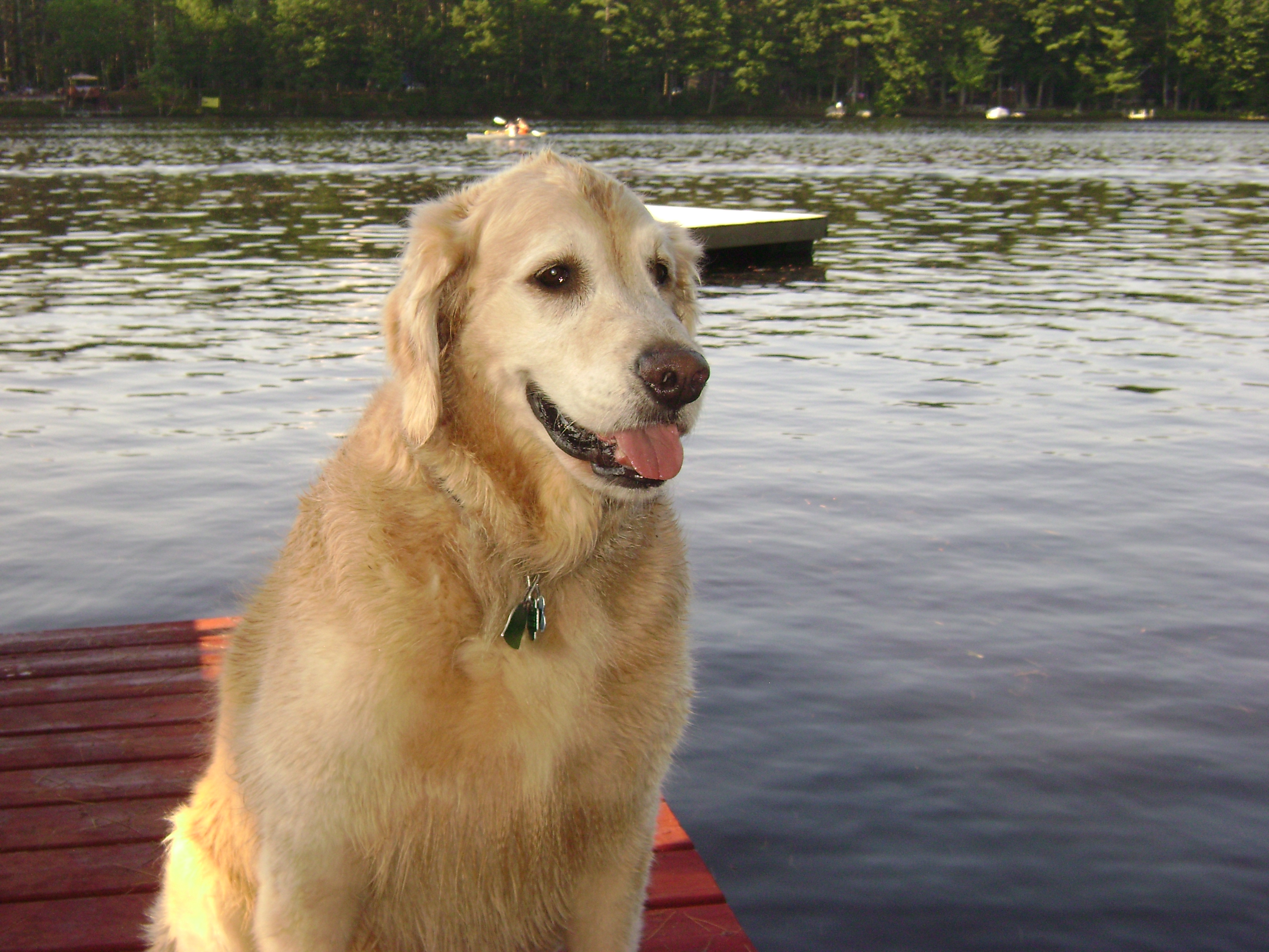 On the Dock