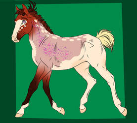 2516 Foal Design