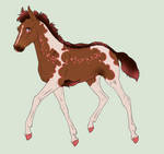 6748 Padro Import - CLOSED by zhalia-moon
