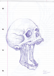 Skull...