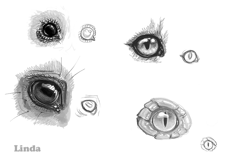 Eye sketches