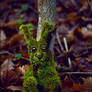 Forest creature