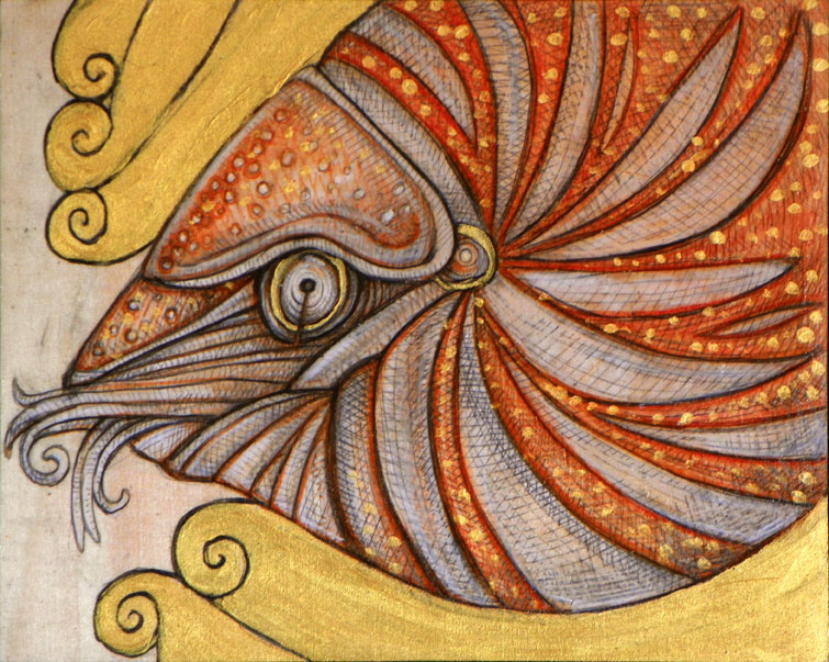 The Chambered Nautilus