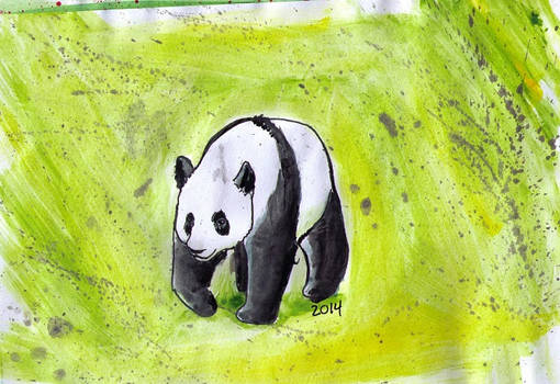 simplified animal anatomy series: Panda painting