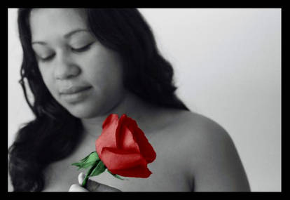 Carla's Rose