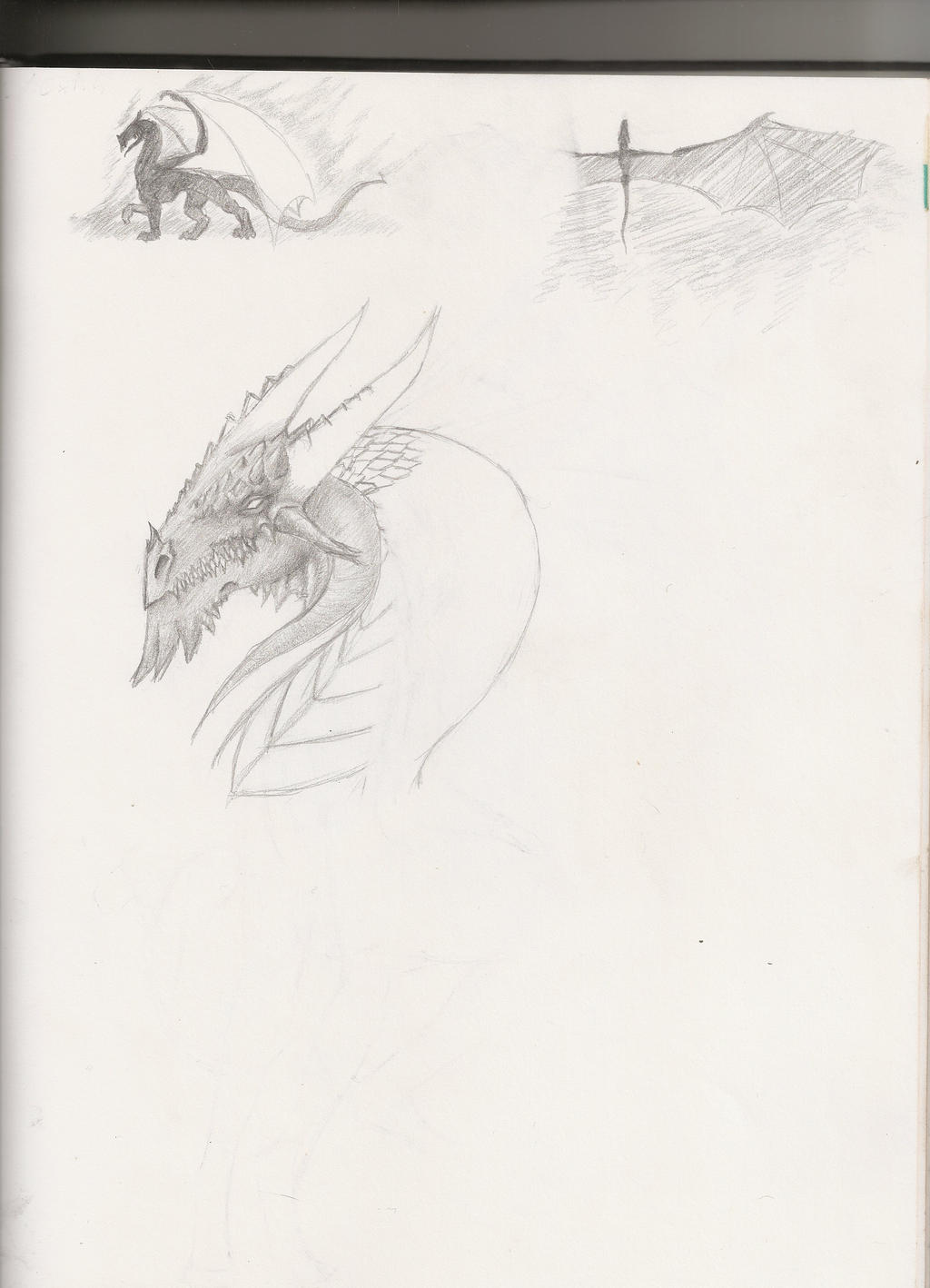 Vector Shadow Drake Shadow Drake by Jessica-Moore on DeviantArt