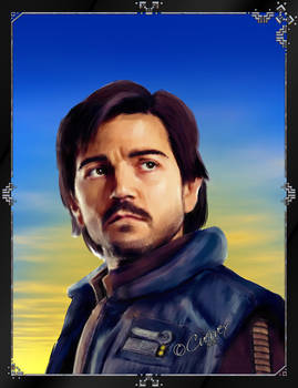 Cassian Andor Portrait