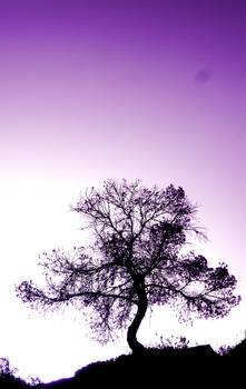 Purple Tree
