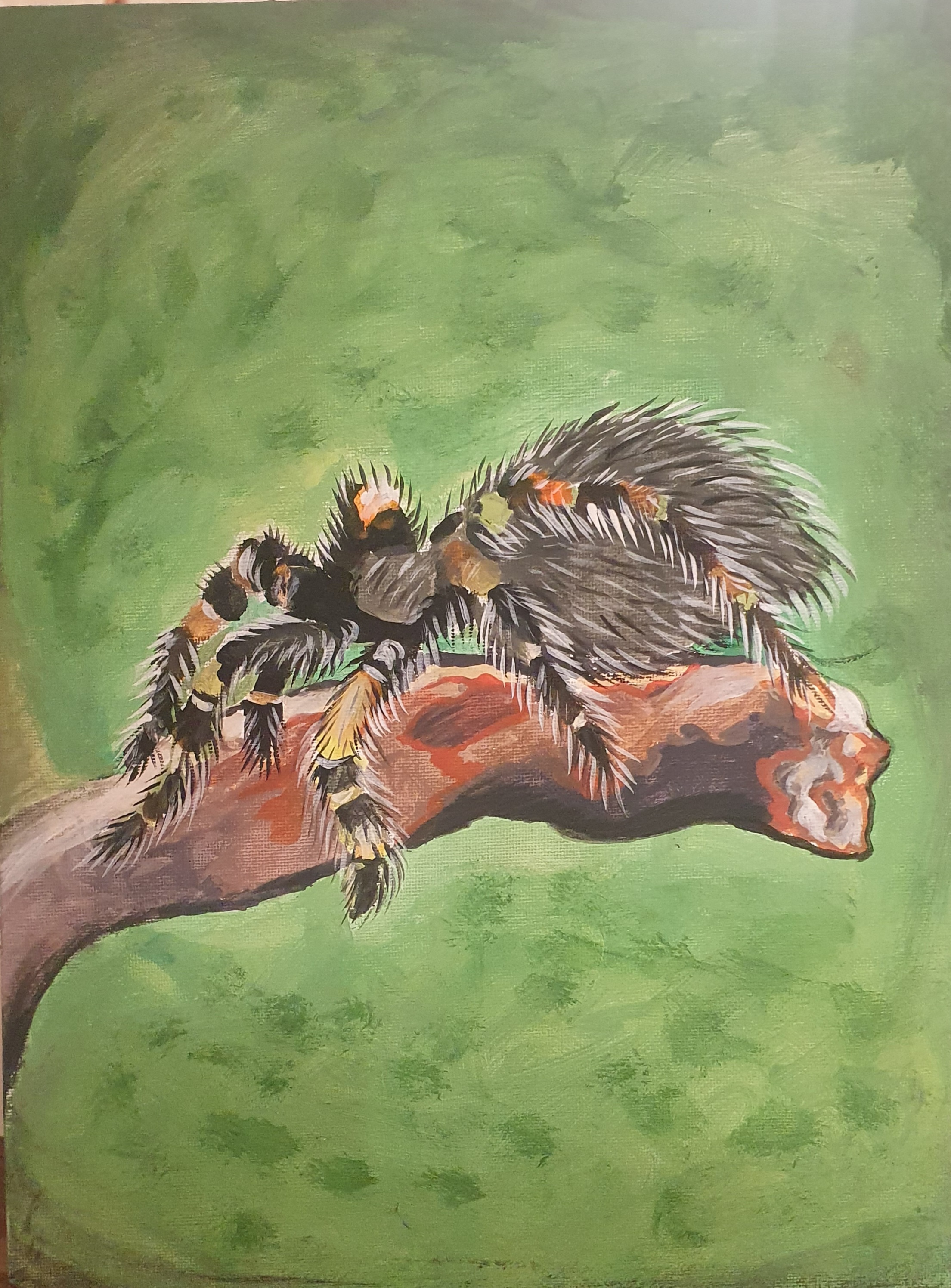 Tarantula Deviantart Tarantula painting by mehwneithas on DeviantArt