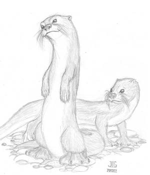 Otters