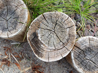 Stumps