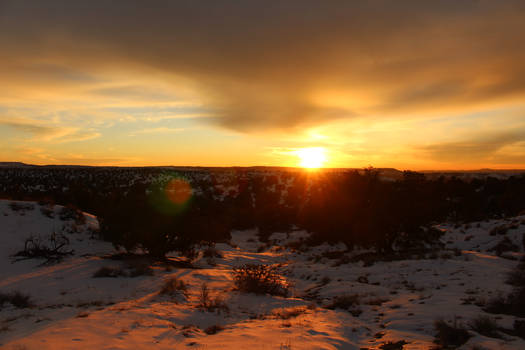 Desert Snow.