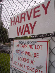 Harvey