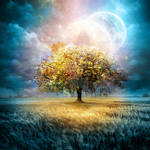 Moon Tree by Teodora-Chinde