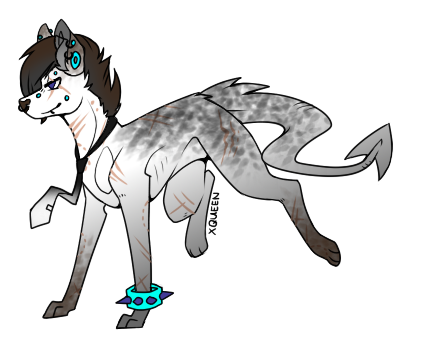 SceneDog Adopt|SB 5 Points|Auction [Closed]