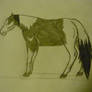 Paint Horse Drawing